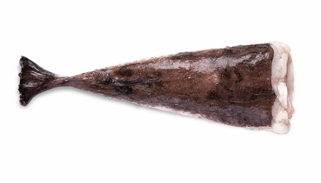Żabnica Żabnica