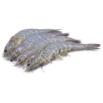 Krewetka Cała Black Tiger  8/12 800g