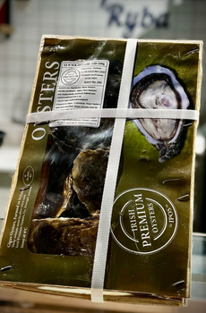 Ostrygi Irlandzkie Premium ROCK 200g+  sztuka