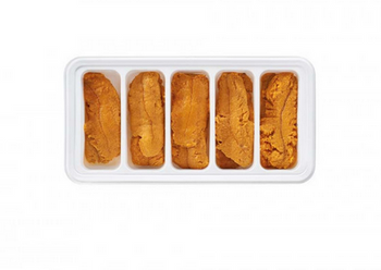 Reito Nama Uni tacka 100g BOX 5KG