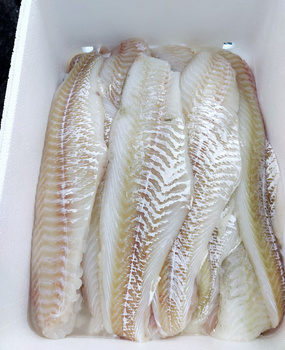 Dorsz Atlantycki filet, bez skóry, trymowany O/H O/B, 900-1200g, 5kg BOX