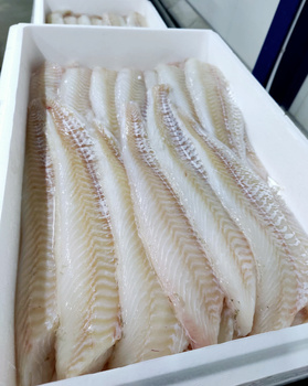 Dorsz Atlantycki filet, bez skóry O/H, 600-900g, 10kg BOX
