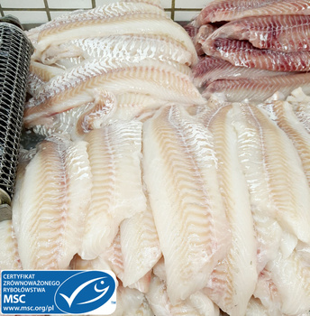 Dorsz Atlantycki MSC filet, bez skóry, trymowany O/H O/B, 200-400g, 5kg BOX