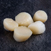 Przegrzebki morskie Hokaido MSC z Japonii 10/20, OP 1kg X 10KG