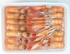 Langustynka L, opk. 1kg. BOX