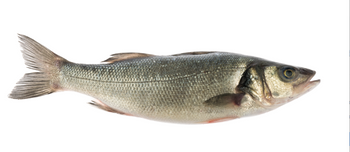 Okoń morski 600-800kg, Opk. 6 kg BOX