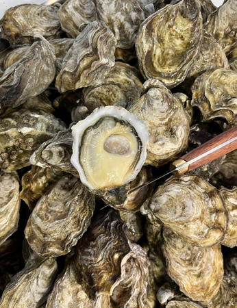  SIGNATURE Premium, Francuskie ostrygi Super Speciales La Famille Boutrais N°2 