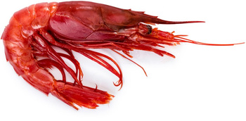 Czerwona krewetka Carabineros 8/12, 800g kartonik