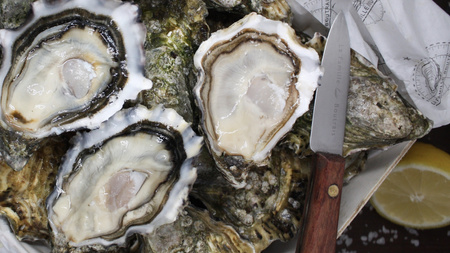 Ostryga La Belle Normandy, Fine Oyster, Les Huitres Mauger N°3