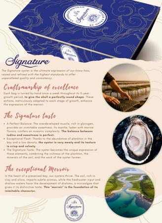 SIGNATURE Premium, Francuskie Ostrygi Super Speciales La Famille Boutraise  N°3 koszyk 24 sztuki 