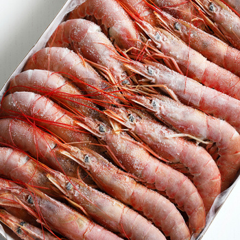 Krewetka Argentyńska L2 HOSO 20/30, 6 x 2 kg BOX