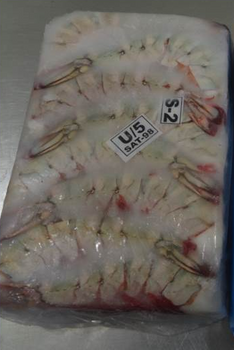 Krewetka Black Tiger U5 bez głowy w pancerzu, blok mrożony, opk. 1,8kg BOX 10 KG