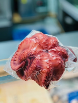 Ośmiornica gotowana z głową, Karton 8 szt