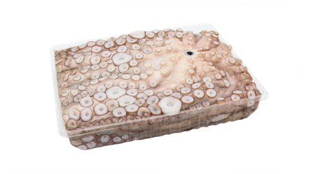 Ośmiornica Zwyczajna tacka 3-4 kg (4 szt.), ok 15kg BOX