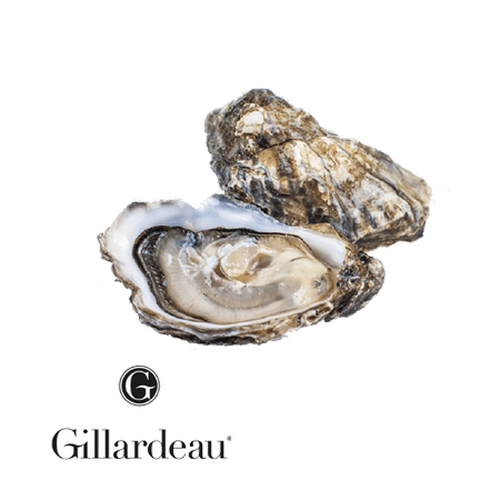 Ostryga Gillardeau ​​​​​​​​N°1