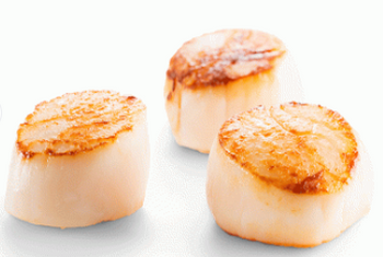 Przegrzebki HOTATE 20/30 Scallopy św. Jakuba 20/30, MSC, IQF opk. 1kg BOX 5 KG