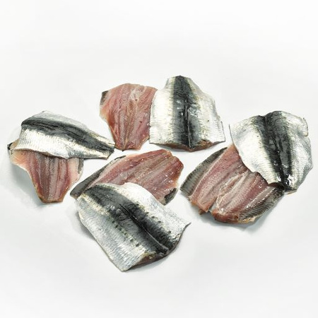 Sardynka Europejska ,filet. 3kg BOX