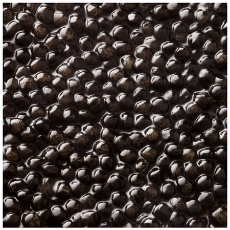 Kawior z jesiotra amerykańskiego - Caviar Transmontanus, 30g