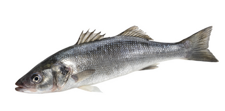 Okoń morski 300/400, Opk. 6 kg BOX