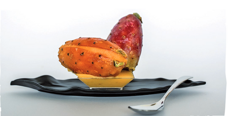 Sorbet z Opuncji, opk. 2kg