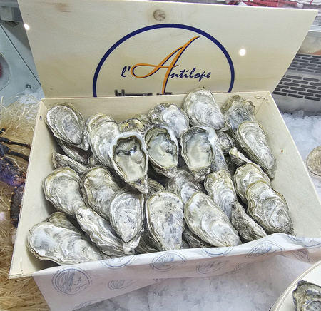 Special oyster Antilope 1858 , Navarre N°2