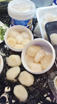 Przegrzebki morskie z Japonii MSC U10 op 1 kg,