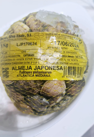 Małża Japońska, Almeja Japonesa, Vongole Verace, siatka 1kg BOX 5KG
