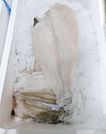 Gładzica Dolny Filet ze skórą M-W-H, Jumbo 10kg BOX 