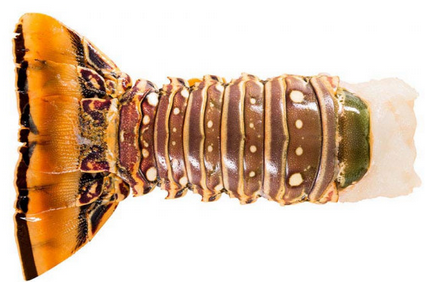 Ogon Langusty Karaibskiej 12/14, 370-400g szt